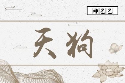 天狗 八字|八字天狗煞的查法 (天狗神煞是什么意思)